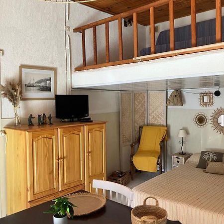 Studio Olmeto Olmeto  Dış mekan fotoğraf